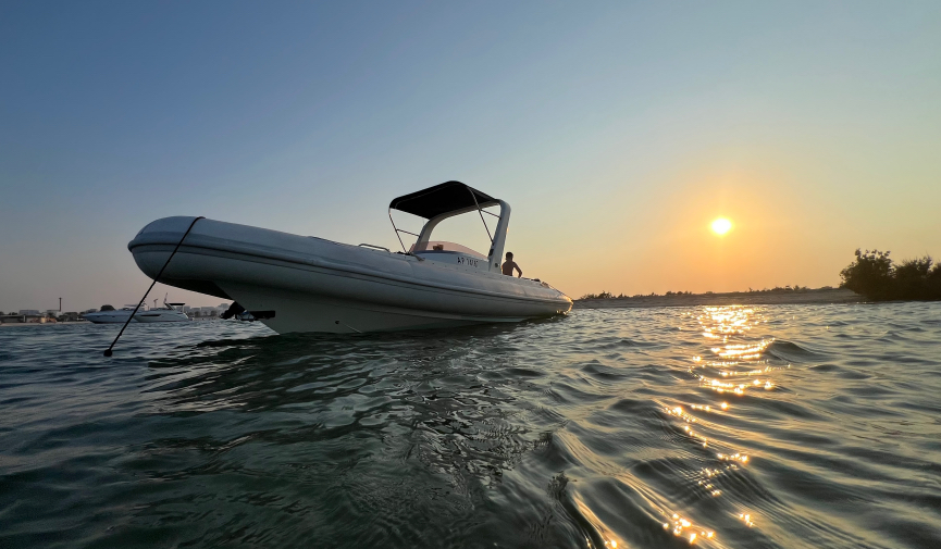 Why Our Boat Tours Are the Best Way to Spend Time with Friends